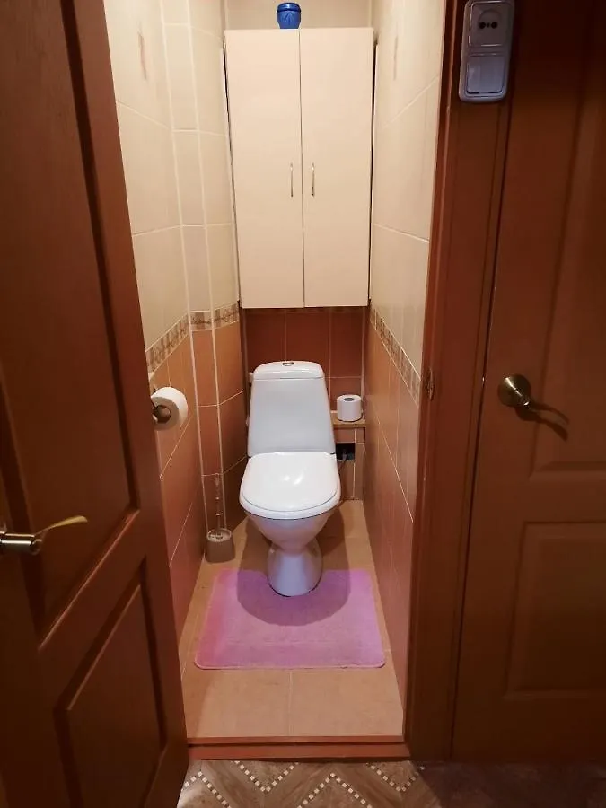 Svetlana Apartment Minsk